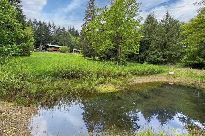 Seasonal Pond