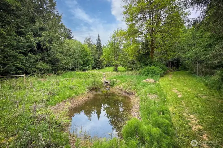 Seasonal Pond