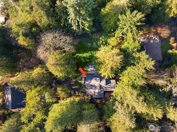 The home nestled in 33,000+ sqft of prime Lawtonwood in Magnolia