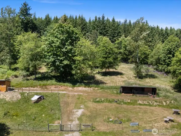 Three Bay Barn - Oversized Chicken Coop - 5 Strand Wire Fencing