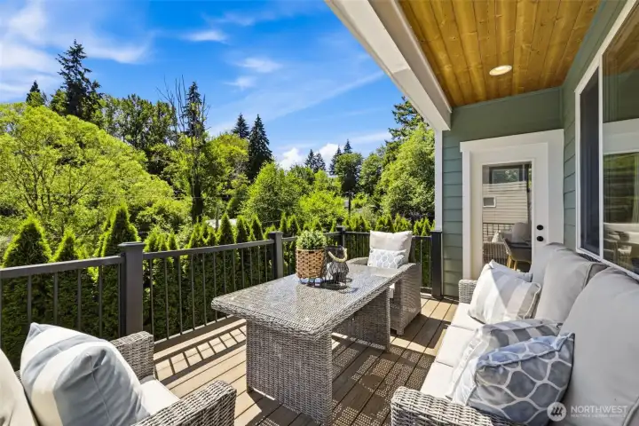 Back Deck