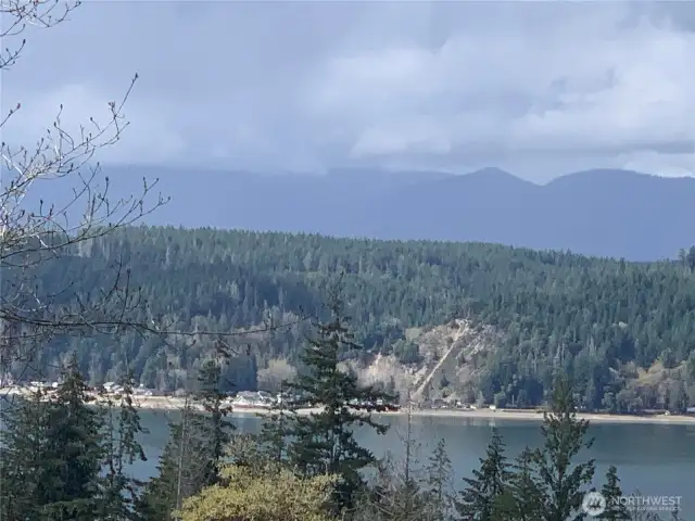 View from Community