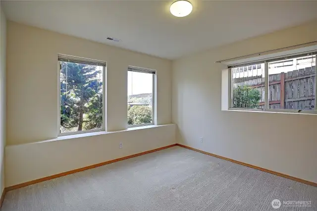 1 of two Lower Level Bedrooms