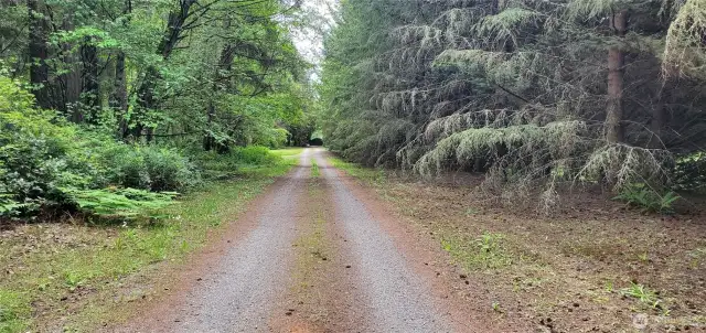 Long Private Driveway