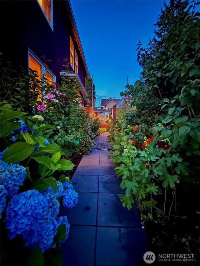 Side Yard at Twilight