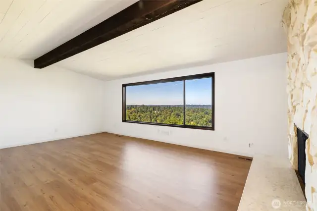 Main Living Area