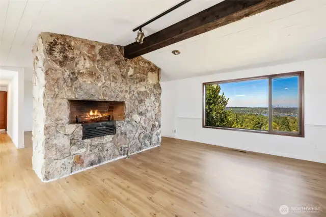 Dining Area Indoor Grill