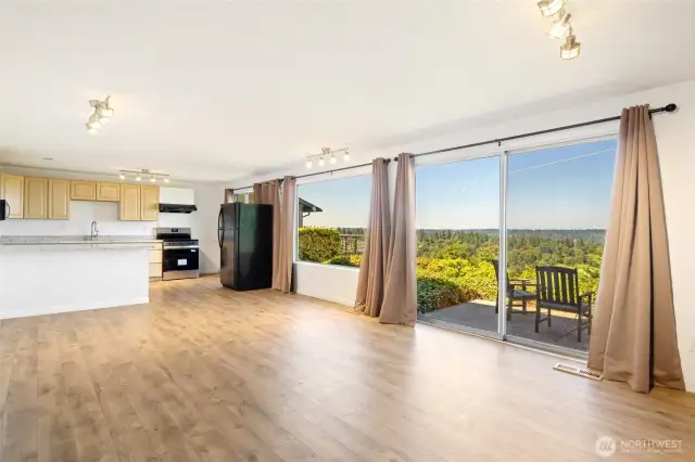 Daylight Basement w/full kitchen & granite counters