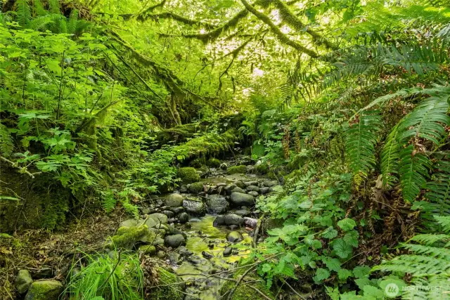 Year round creek, magical place