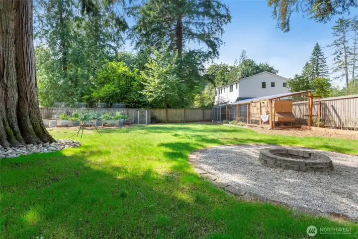 This is a beautiful backyard, fully fenced with a dog run (in the corner) and luxury chicken coop, fire pit, raised garden beds.....it just keeps going.