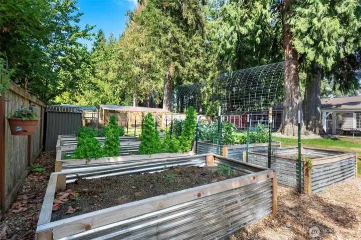 Brand new raised garden beds.  Even comes with vegetables....