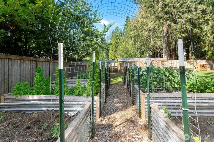 Raised garden beds