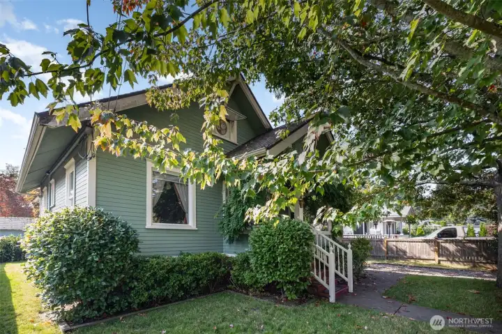 Home offers a serene green color palette that blends in perfectly with the mature surrounding trees.