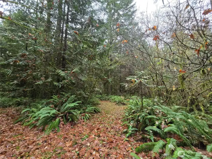 One of the walking trails