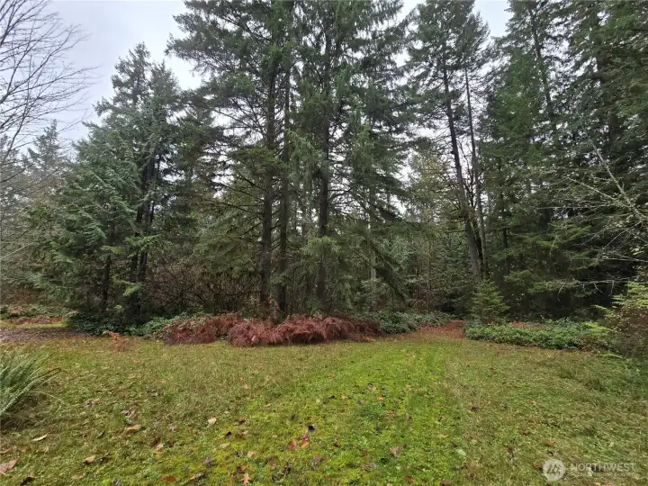Open space around the old house.