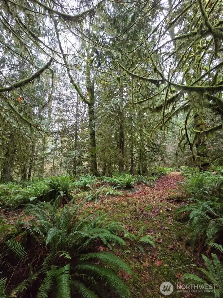 Near the back corner of the property