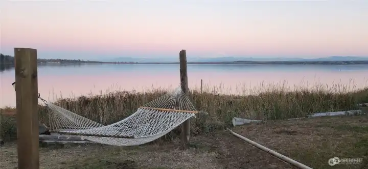 Relax and read a good book in the hammock
