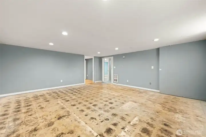Downstairs Family Room
