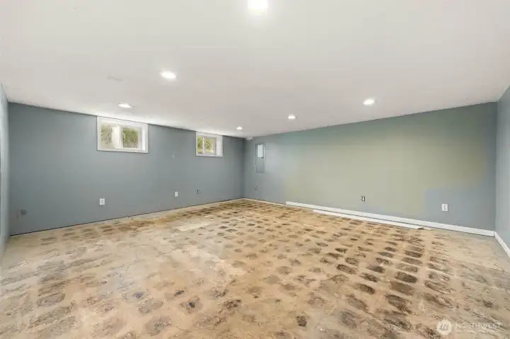 Downstairs Family Room