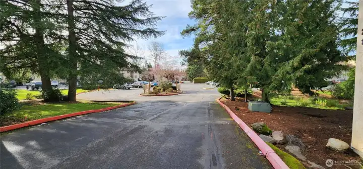 Tons of visitor parking available.