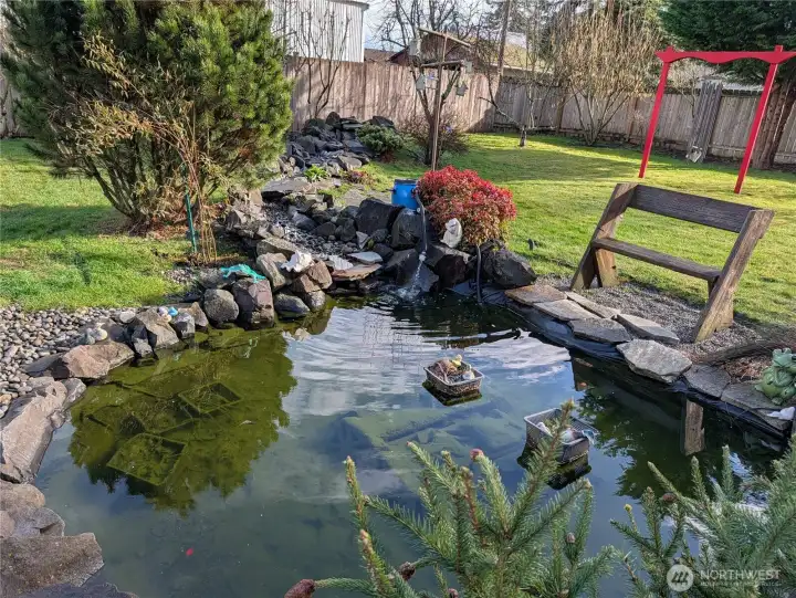 Really a cute pond with fish.  They had babies