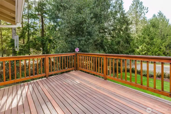 Upper back deck to look over your acre!