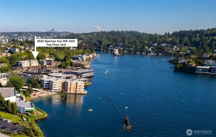 Located right at the entrance to the ship canal.  Enjoy watching the Bald Eagles fly over Magnolia, hear sea lions barking in the distance and watch the boat parade go by.