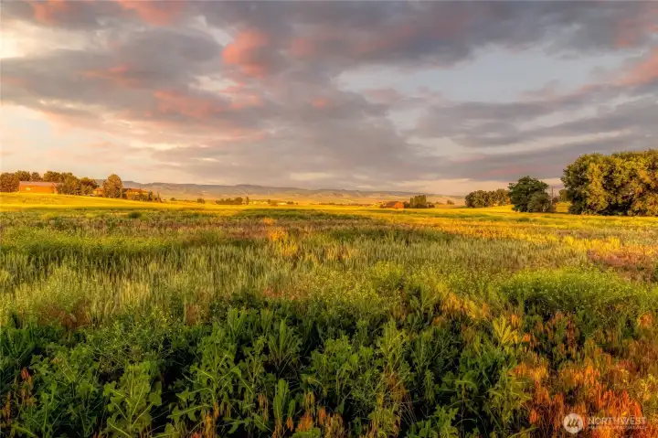 11-acre property with views of the Blues