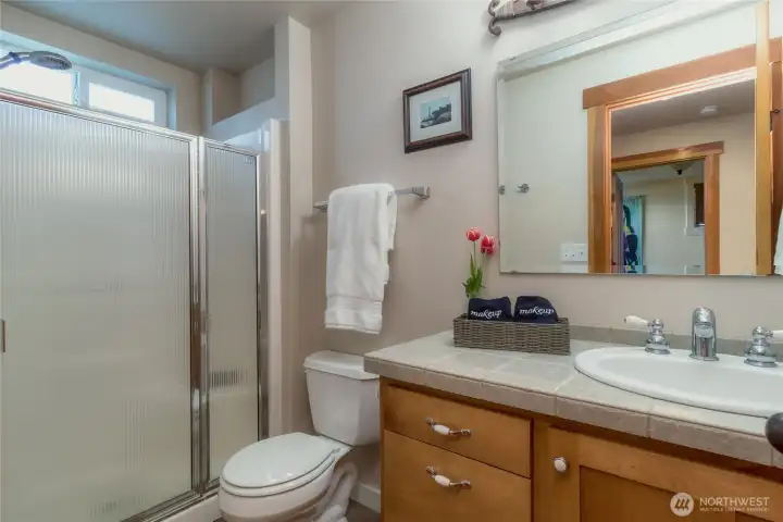 Lower Level bathroom with shower