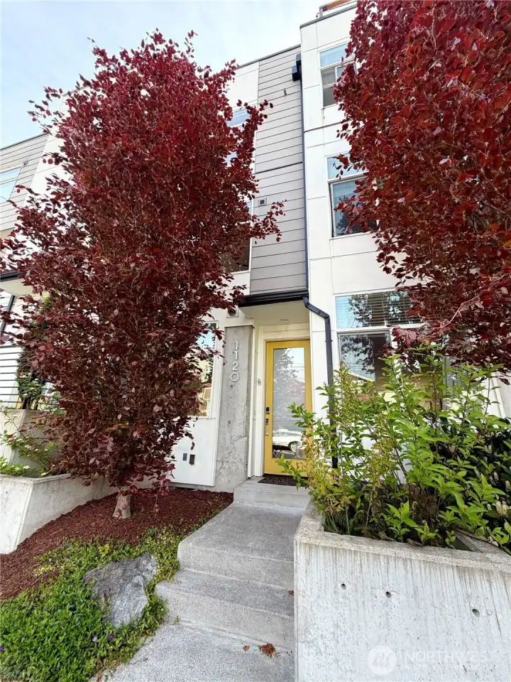 The Sleek Judkins Park TownHouse!