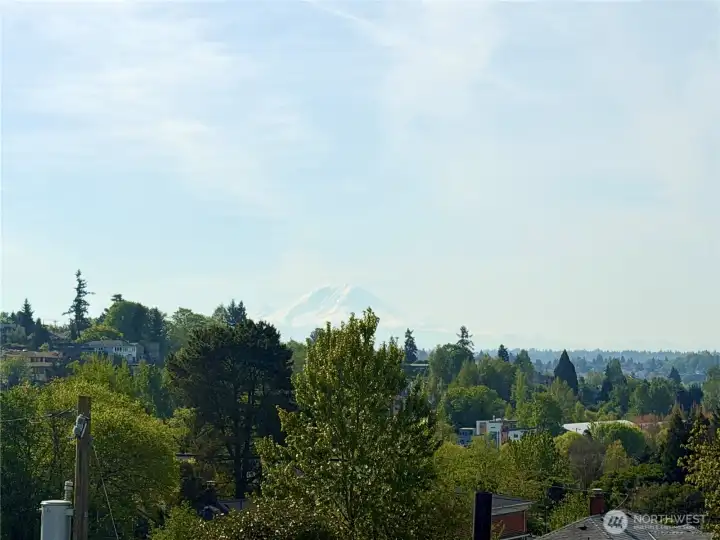 View of Mount Rainier!