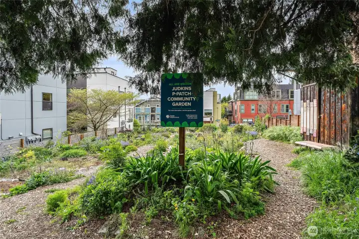 Judkins Park P-Patch.