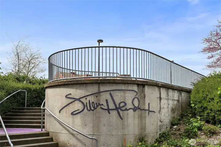 Jimi Hendrix Park.