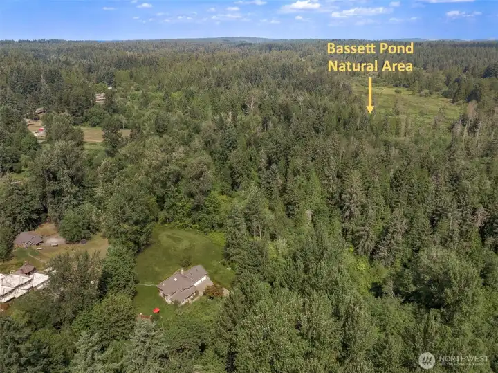 Bassett Pond Natural Area is perfect for passive recreation activities such as bird watching, nature photography, and quiet reflection. The trails around the pond and through the forest offer gentle walks that immerse visitors in the natural beauty of the region. These trails are less crowded compared to more popular parks, making them ideal for those seeking solitude and a deeper connection with nature.