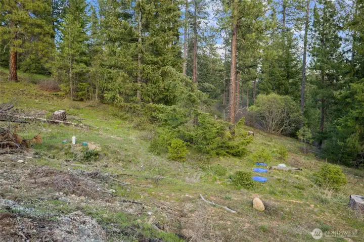 Septic system already installed.