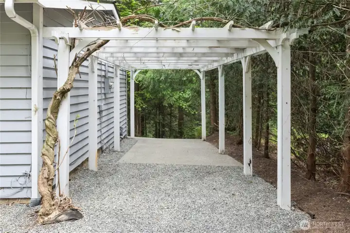 Pergola with mature wisteria already budding!