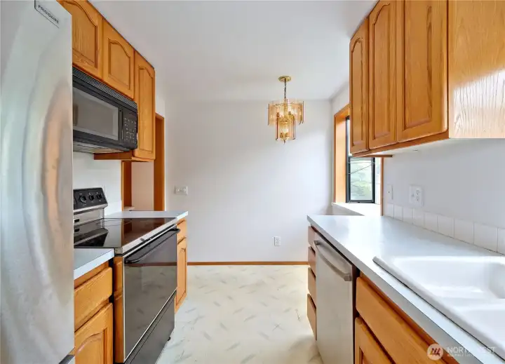 Stainless appliances
