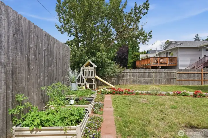 Backyard Backyard
