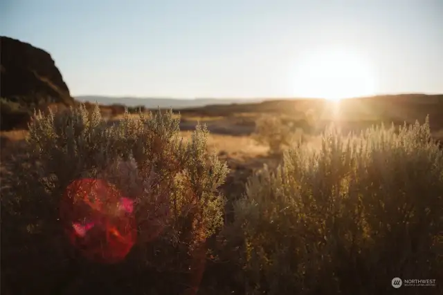 Wake to the sweet smell of sage and 200+ days of sun