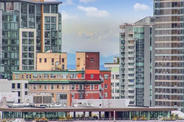 Enjoy views of the Olympics from the roof top.