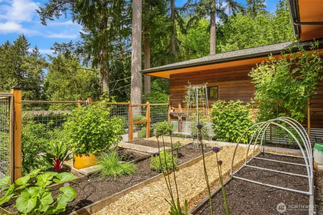 The fenced garden space with raised beds. The perfect kitchen garden abundant with food and flowers.