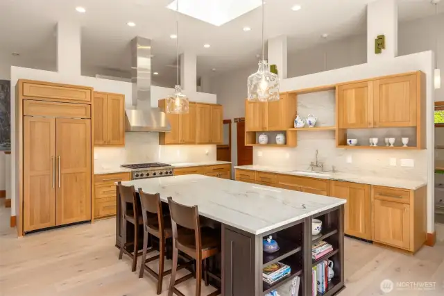 Paneled subzero fridge, custom lighting, large island drenched in sunlight from the skylight above.