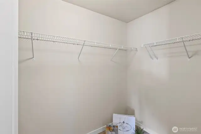 The spacious walk-in closet offers tons of extra storage space.
