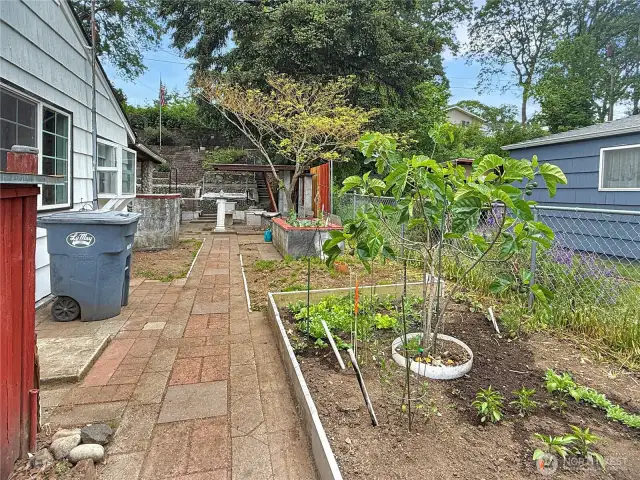 Use the side gate to enter the backyard.