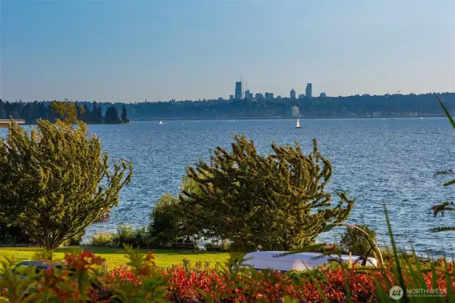 From the patio.