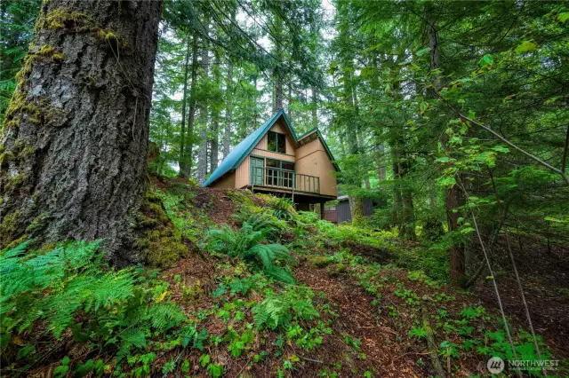Tucked among the trees with a deck to enjoy nature.
