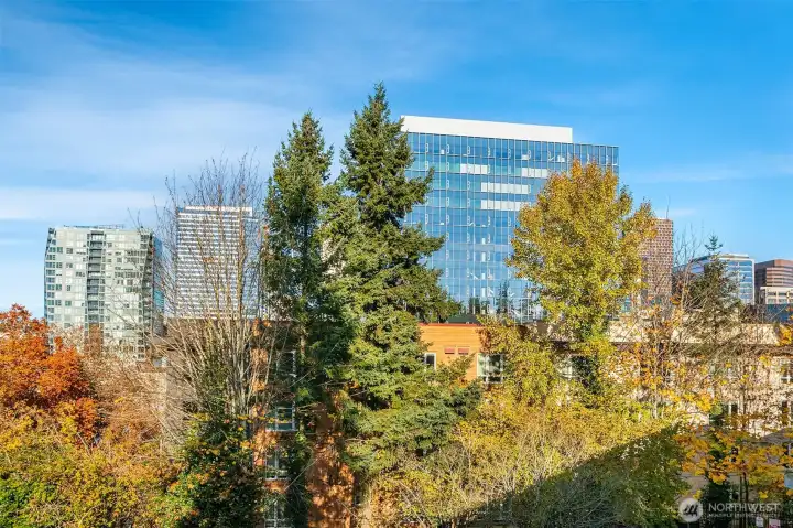 downtown cityscape view from deck