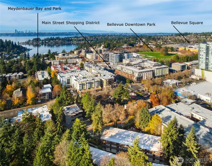 Walk to all that Bellevue has to offer