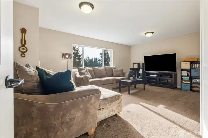 The large bonus room offers endless possibilities, from media room to game space or home gym. A flexible area designed to fit your lifestyle.