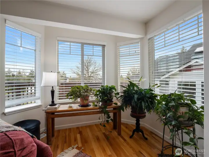 The "bay window" area is perfect to grow your plants.